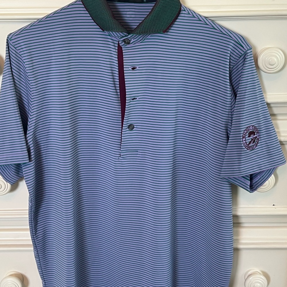 Greyson Blue and Green Performance Polo Shirt